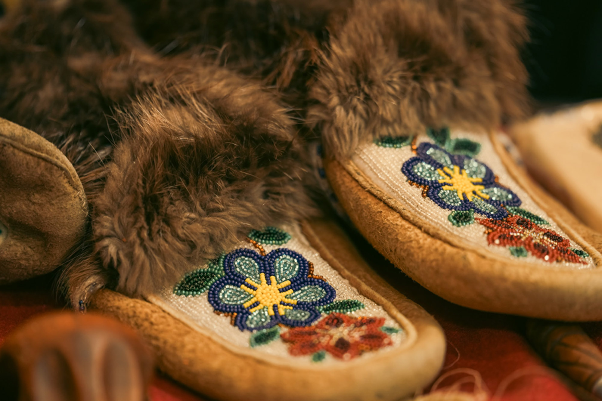 Guardians of the Sacred North